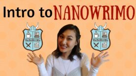 NaNoWriMo- An Introduction